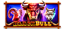 <p data-pm-slice=1 1 []>¡Vuélvete loco con nuestro último éxito, Black Bull™! El título 5x4 presenta una mecánica de recolección de efectivo diferente, ya que las bolsas de efectivo pueden agregar valor en cada giro. Cuando seis o más monedas de oro caigan en los carretes, ¡comenzarán los giros gratis! El bono es progresivo, por lo que Wilds, Free Spins y más pueden seguir apareciendo mientras los jugadores deambulan por el rancho en busca de ganancias de hasta 4500x.</p>