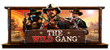 Ponte tus botas de vaquero y prepárate para una aventura occidental con The Wild Gang.

Esta tragamonedas presenta una formación única de carretes 3-4-4-4-4-3, con símbolos que incluyen espadas, botellas e insignias de sheriff que aparecen en la cuadrícula. Los jugadores deben hacer una combinación ganadora de al menos tres símbolos de izquierda a derecha para recibir un premio.

Pueden aparecer cuatro comodines diferentes en el segundo, tercer, cuarto y quinto carrete, todos comportándose de la misma manera pero presentando diferentes personajes de la pandilla. Colocar comodines en el segundo y tercer carrete les permite funcionar normalmente, sustituyendo todos los símbolos de pago y obteniendo un multiplicador aleatorio de hasta x4. Si aparecen tres o más comodines en un solo giro en el juego base, funcionan como Scatters, desbloqueando la ronda de bonificación de giros gratis.