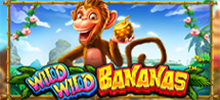 Entra en el corazón de la jungla y recoge montones de plátanos en Wild Wild Bananas™. Viaja al paraíso de los suculentos e imperdibles premios, en esta isla tropical que es hogar de monos, pelícanos y serpientes, con los que deberán formarse como combinación correspondiente en las 576 formas de ganar. ¡Tres premios increíbles respaldan esta tragamonedas y puedes ganar el premio mayor de hasta 12,000 veces tu apuesta! Recoge muchos plátanos y disfruta de premios instantáneos en efectivo.<br/>
<br/>
¡Diviértete con Wild Wild Bananas™ ahora!