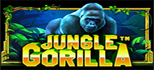 La fastuosa jungla esconde todo tipo de misterios en Jungle Gorilla™, la slot de 5×3 con un multiplicador especial que aumenta las ganancias del rodillo. Esta slot altamente volátil nos lleva a las profundidades de la jungla donde el truco para ganar a lo grande es el símbolo Scatter, que aumenta el multiplicador del carrete hasta un máximo de 5x.